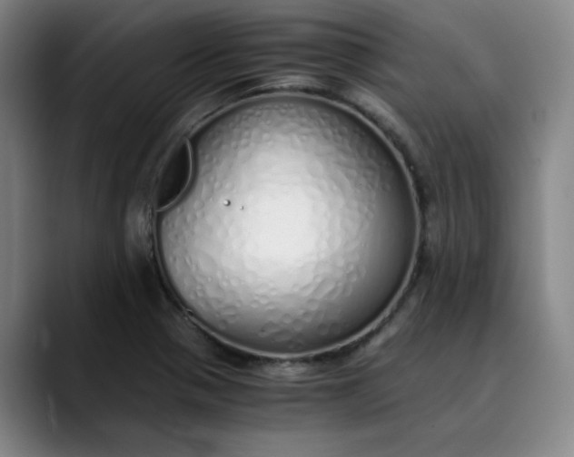 X0000089891321200707121824