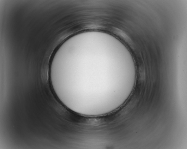 X0000089891322200707121824