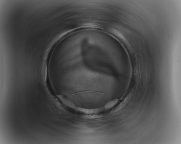 X0000089891323200707121824