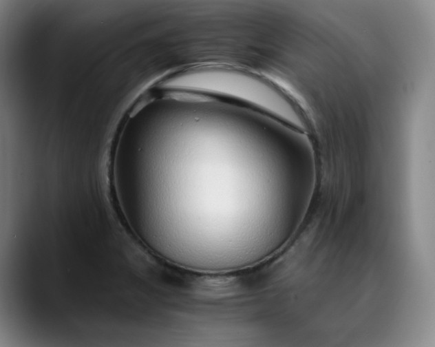 X0000089891325200707121824