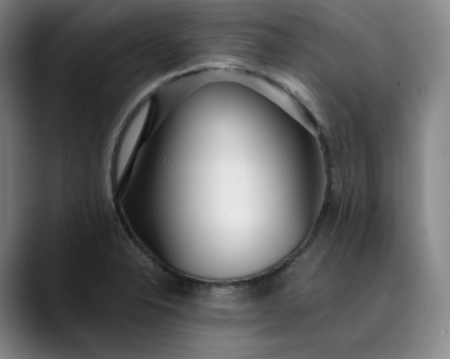 X0000089891326200707121824