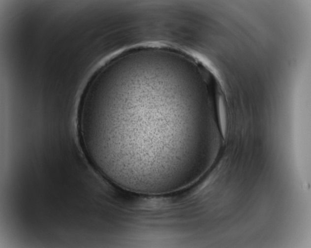 X0000089891327200707121824