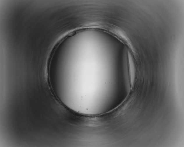 X0000089891328200707121824