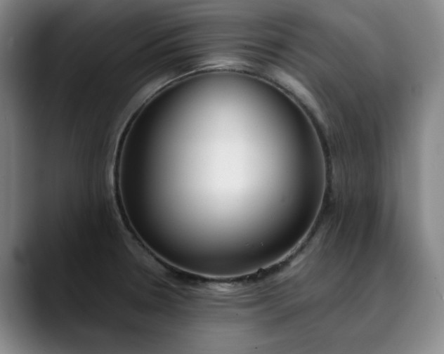 X0000089891330200707121824