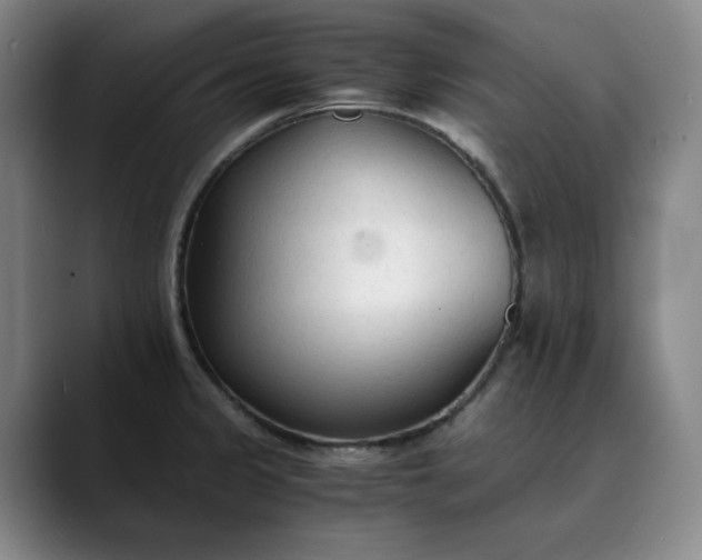 X0000089891333200707121824