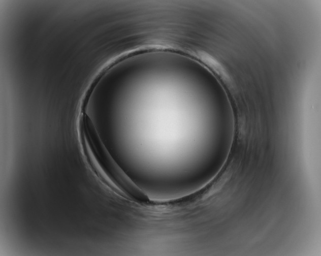 X0000089891334200707121824