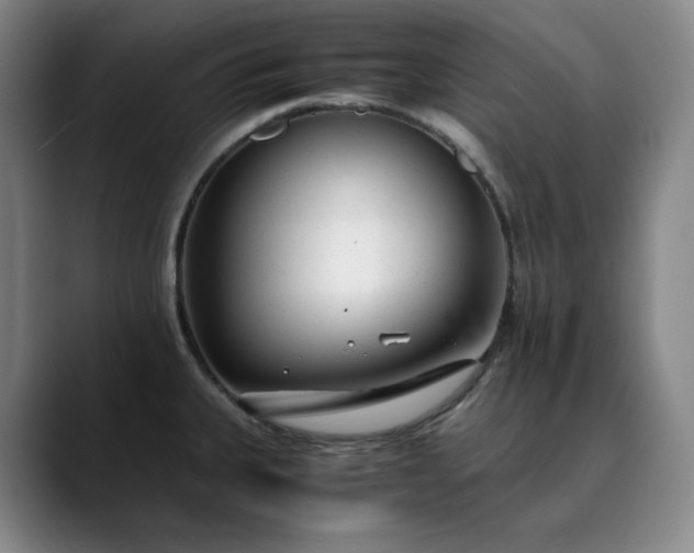 X0000089891335200707121824