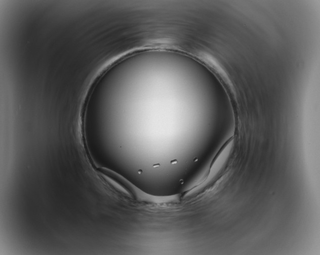 X0000089891336200707121824