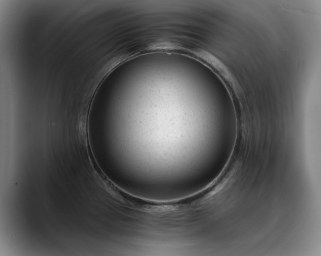 X0000089891337200707121824