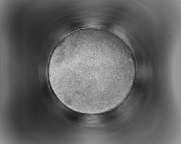 X0000089891338200707121824