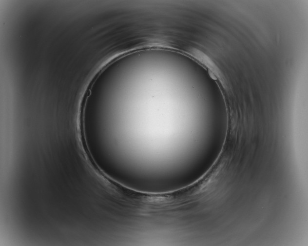 X0000089891339200707121824