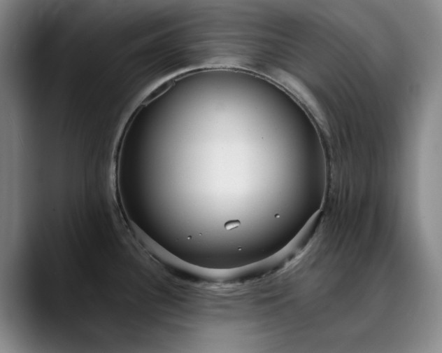 X0000089891340200707121824