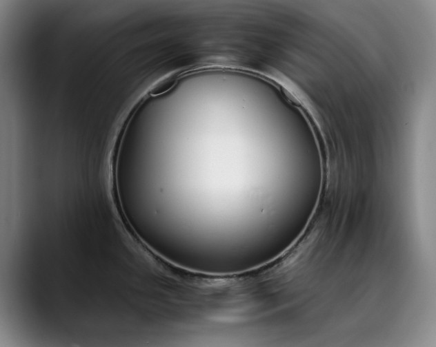 X0000089891341200707121824