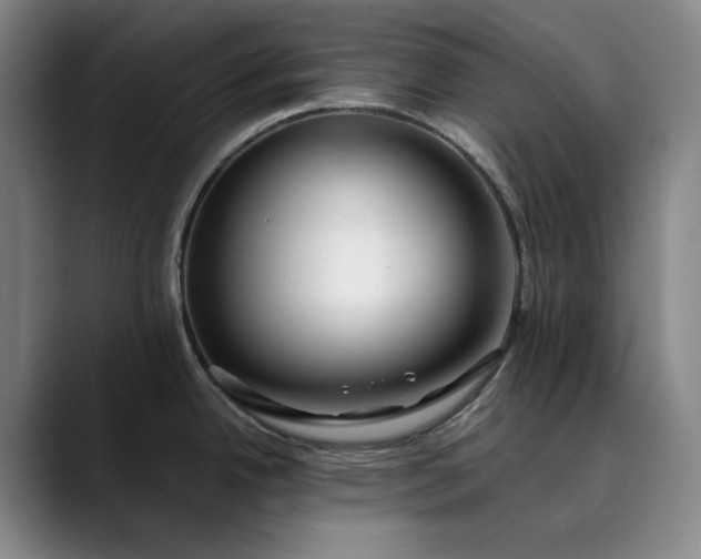 X0000089891342200707121824