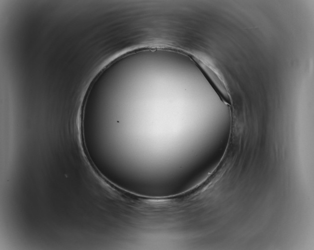 X0000089891343200707121824