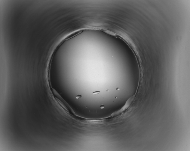 X0000089891344200707121824