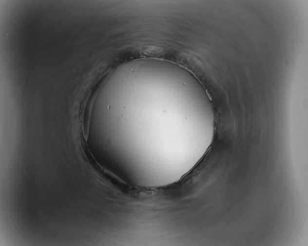 X0000089891345200707121823