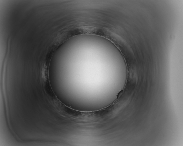 X0000089891346200707121823