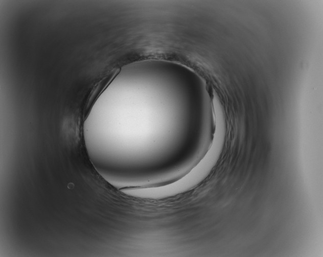 X0000089891348200707121823