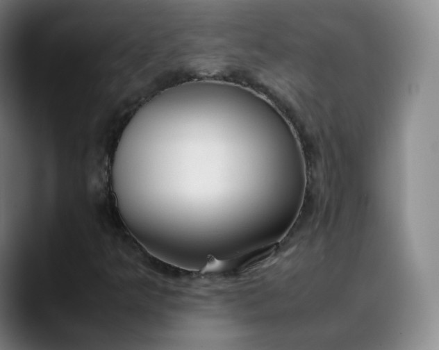 X0000089891349200707121823