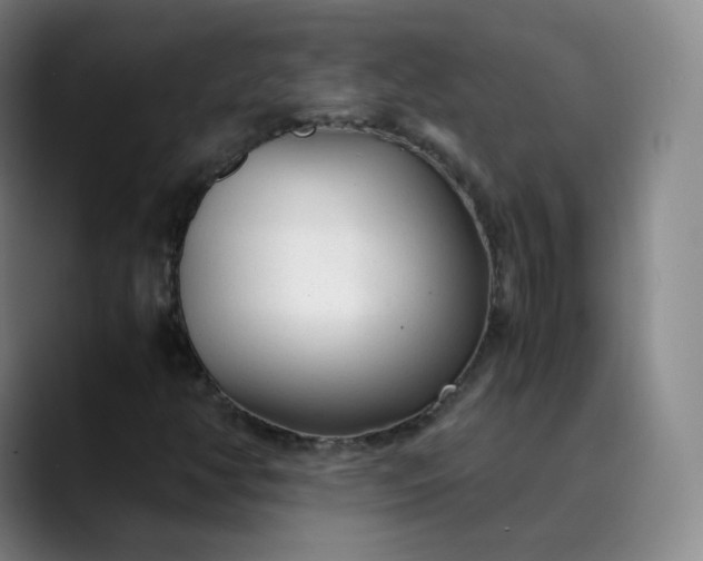 X0000089891350200707121823