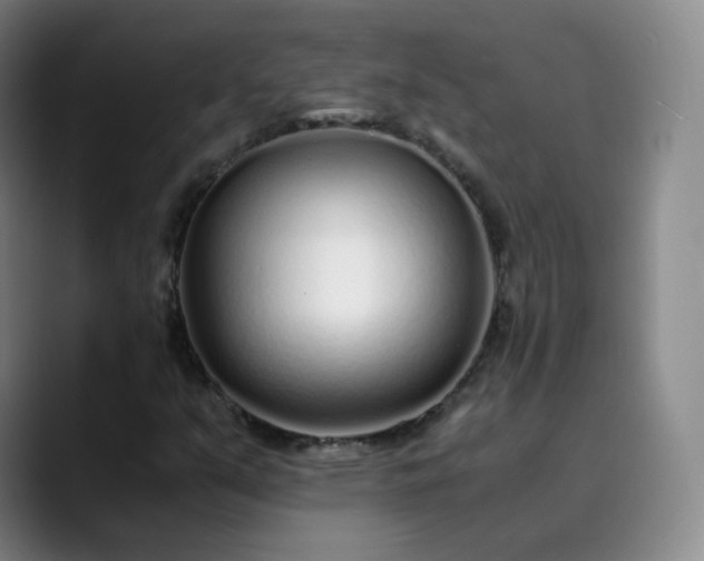 X0000089891351200707121823