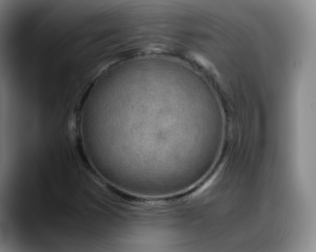 X0000089891353200707121823