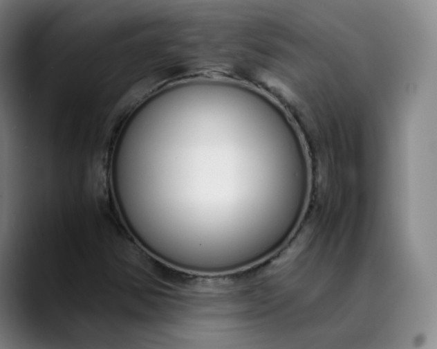 X0000089891354200707121823