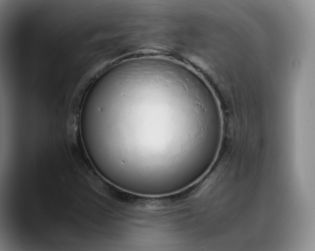 X0000089891355200707121823