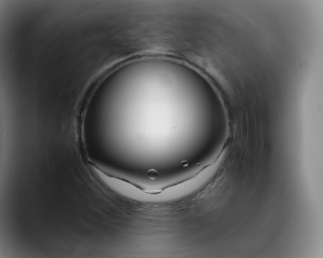 X0000089891356200707121823