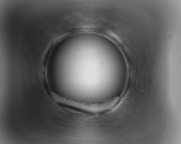 X0000089891357200707121823