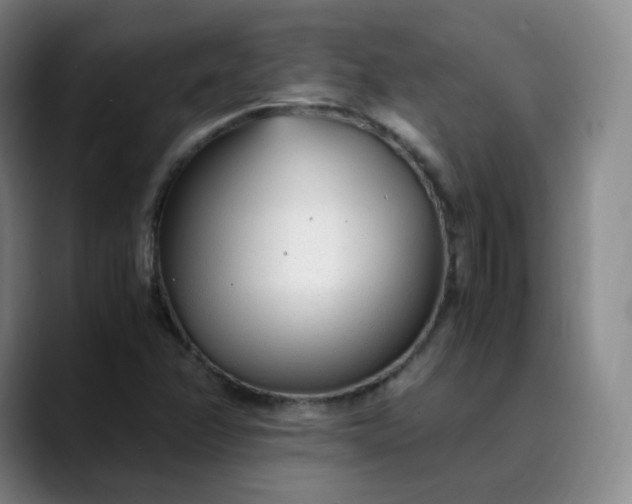 X0000089891358200707121823