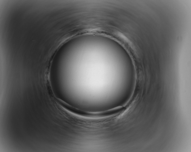 X0000089891361200707121823