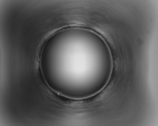 X0000089891363200707121823