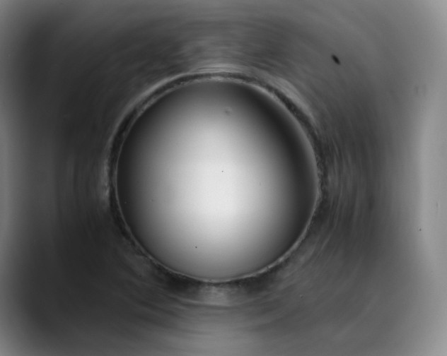 X0000089891364200707121823