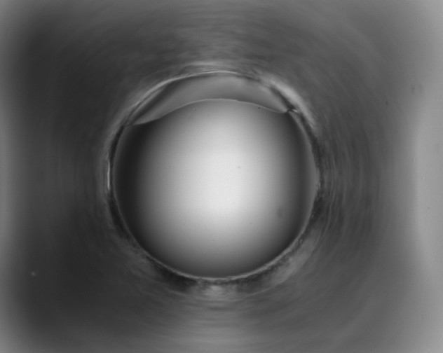 X0000089891365200707121823