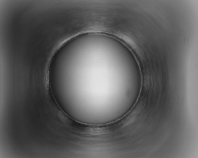 X0000089891366200707121823