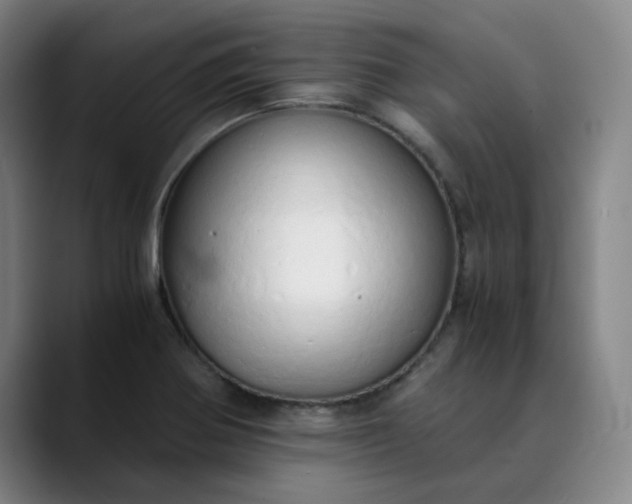 X0000089891370200707121823