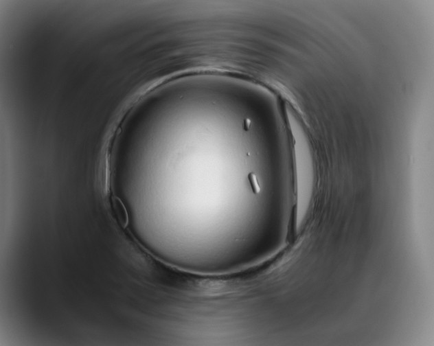 X0000089891371200707121823