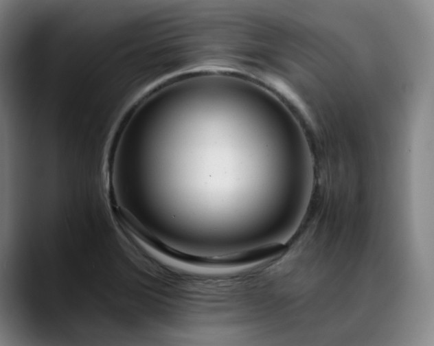 X0000089891372200707121823