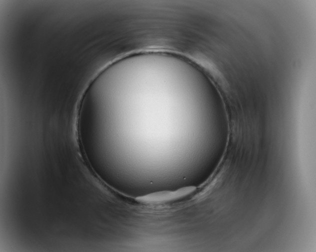 X0000089891374200707121823