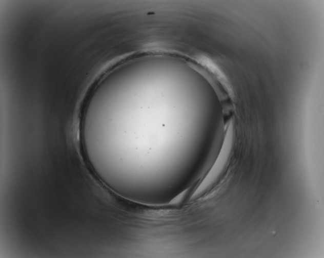 X0000089891376200707121823