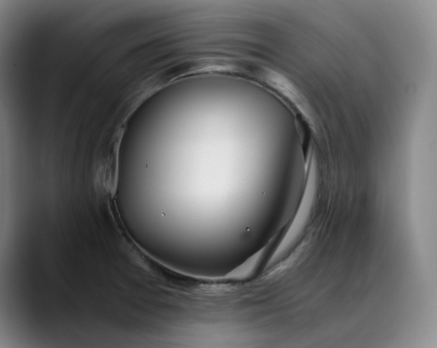 X0000089891377200707121823