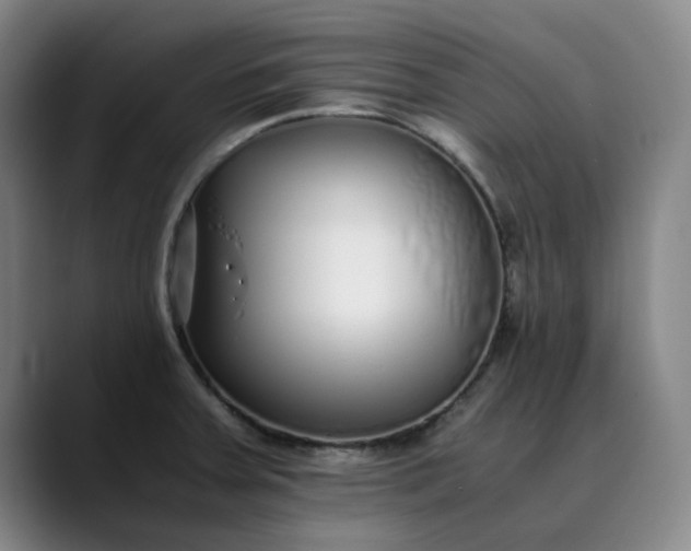 X0000089891379200707121823