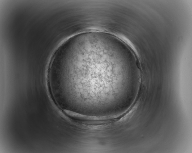 X0000089891381200707121823