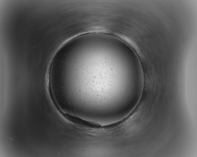 X0000089891383200707121823