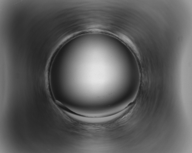 X0000089891384200707121823