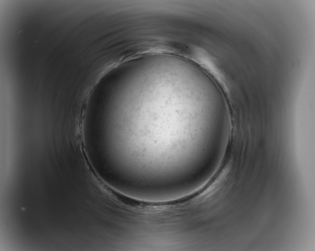 X0000089891385200707121823