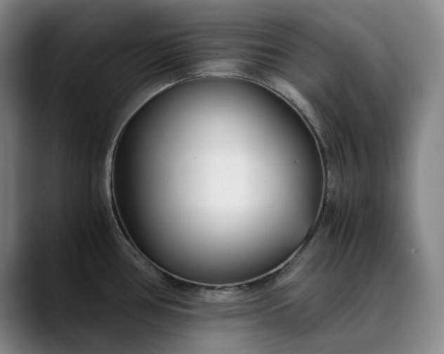 X0000089891386200707121823