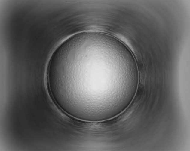 X0000089891387200707121823